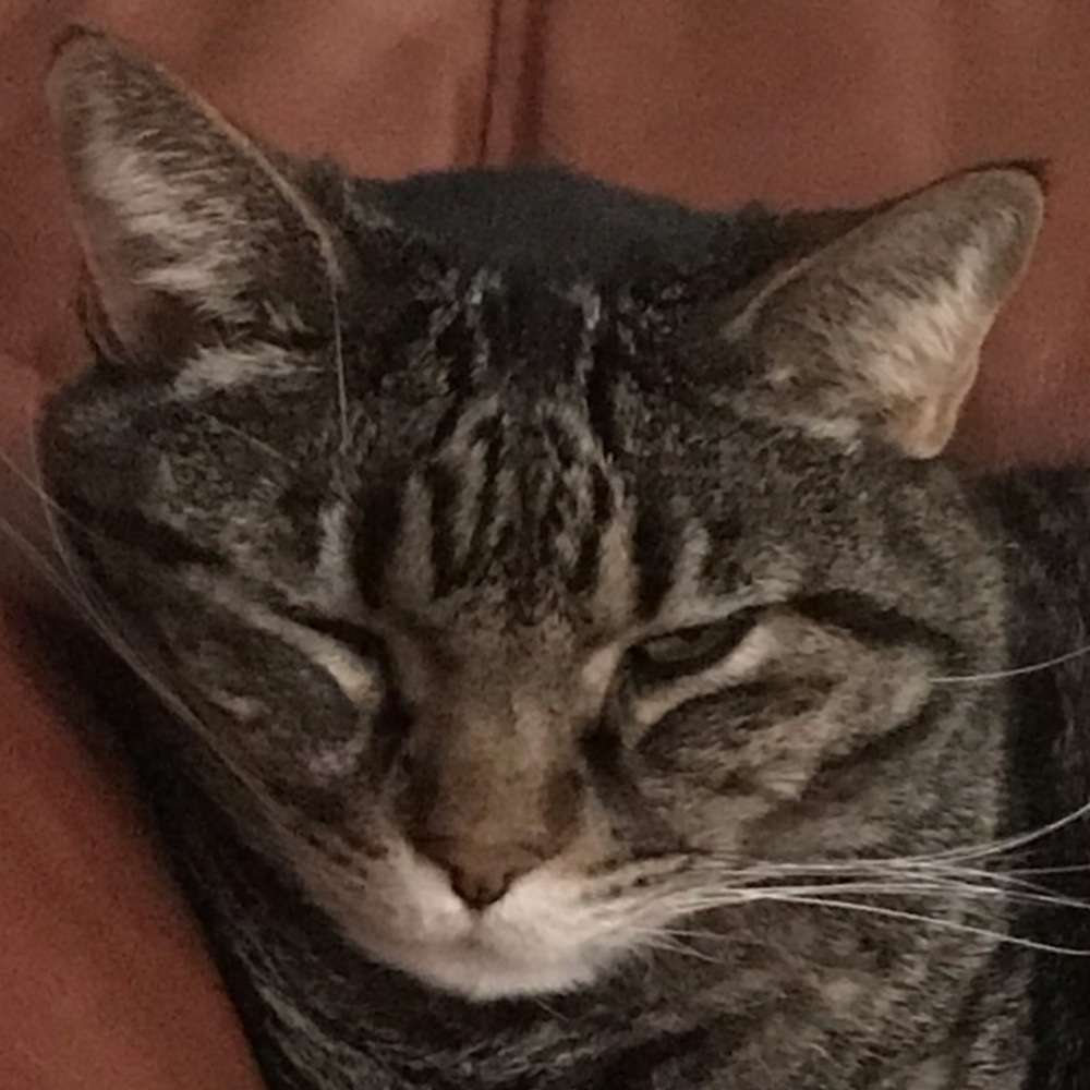 Meet your Posher, Valarie